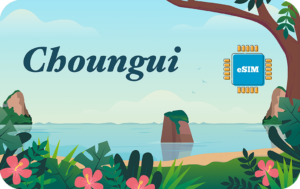Mayotte 1 GB - 7 Dagen